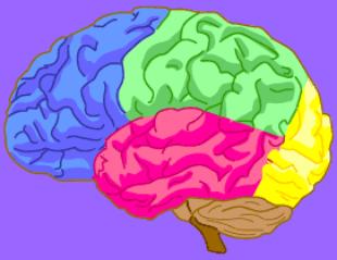 A Brain