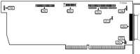 PROCOMP USA, INC. � S-DCB