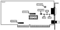 DANPEX CORPORATION � EW-2016