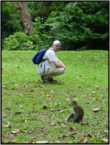 animal: monkey : s-dsc011656.jpg