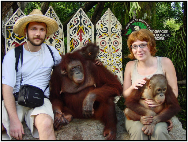 animal: monkey : s-dsc010908.jpg