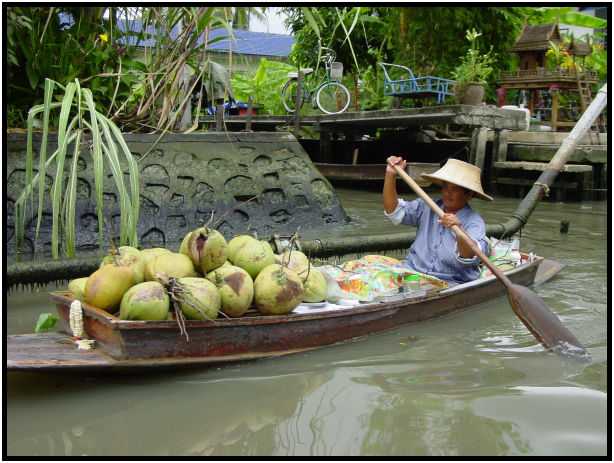 flora: fruit: coconut : s-dsc011173.jpg
