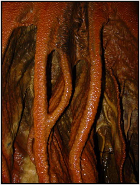 site: earth: stalactite : s-dsc011612.jpg