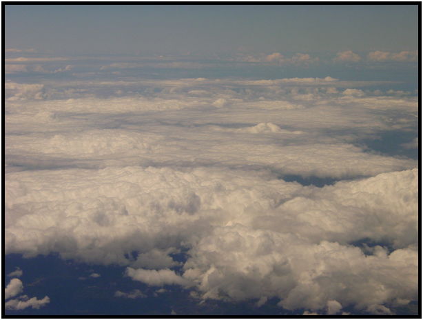 place: New Zealand: Auckland : s-dsc012536.jpg