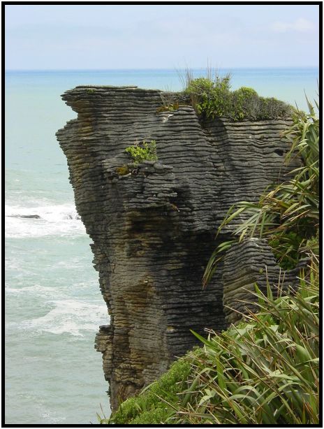place: New Zealand: Punakaiki : s-dsc012239.jpg