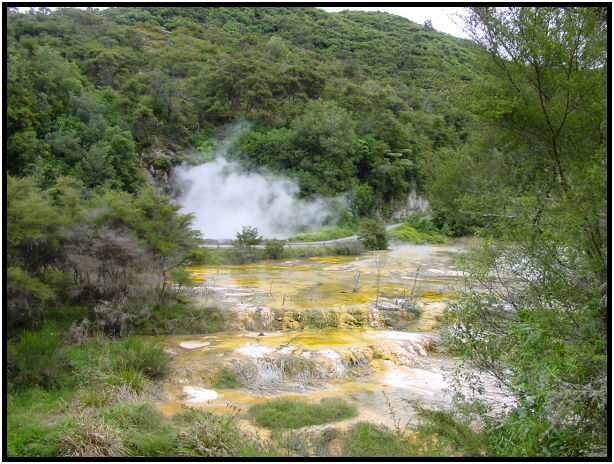 place: New Zealand: Waimangu : s-dsc012473.jpg