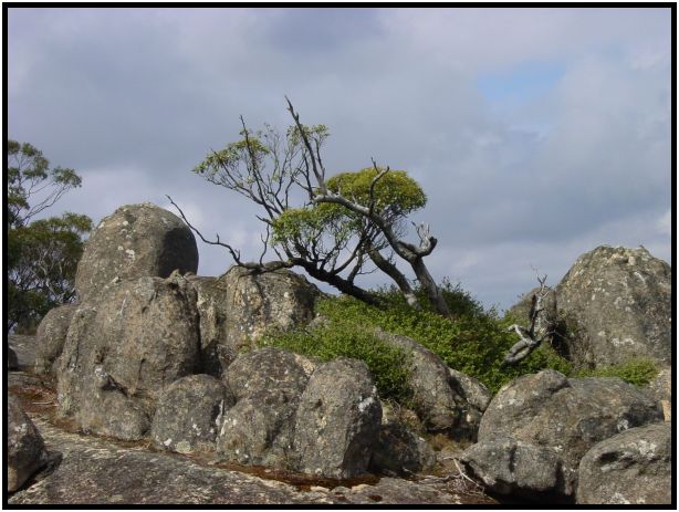 site: landscape: rock : s-dsc015986.jpg