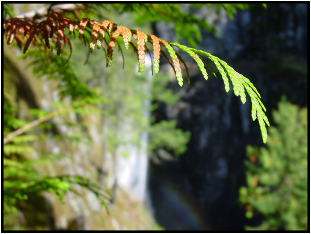 site: water: waterfall : s-dsc018118.jpg