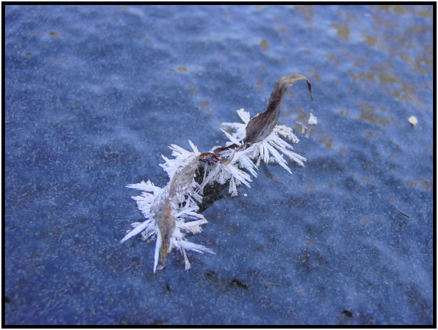 site: earth: ice : s-dsc018537.jpg