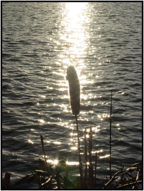 daycycle: sunset : s-dsc018933.jpg