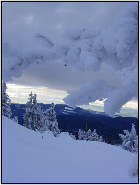 site: earth: snow : s-dsc018371.jpg