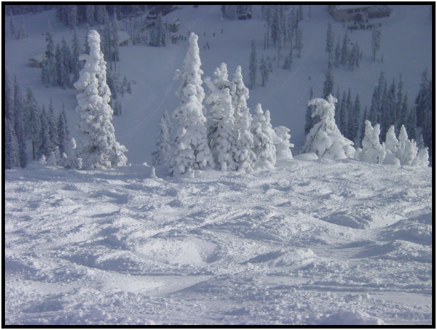 person: action: skiing : s-dsc018449.jpg