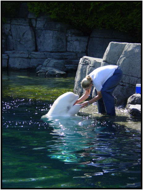 place: Canada: British Columbia: Vancouver: Aquarium : s-dsc010046.jpg