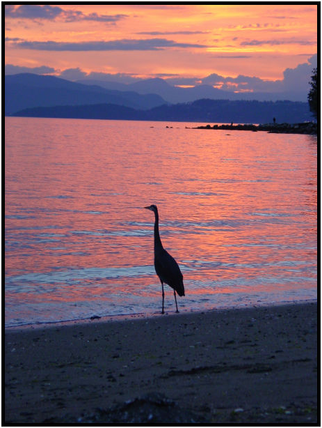 daycycle: sunset : s-dsc020022.jpg