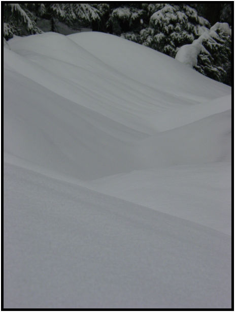 site: earth: snow : s-dsc028670.jpg