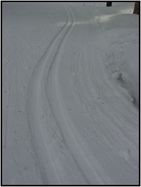 person: action: skiing : s-dsc028707.jpg