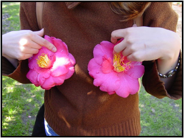 flora: flower: unknown flower : s-dsc029611.jpg