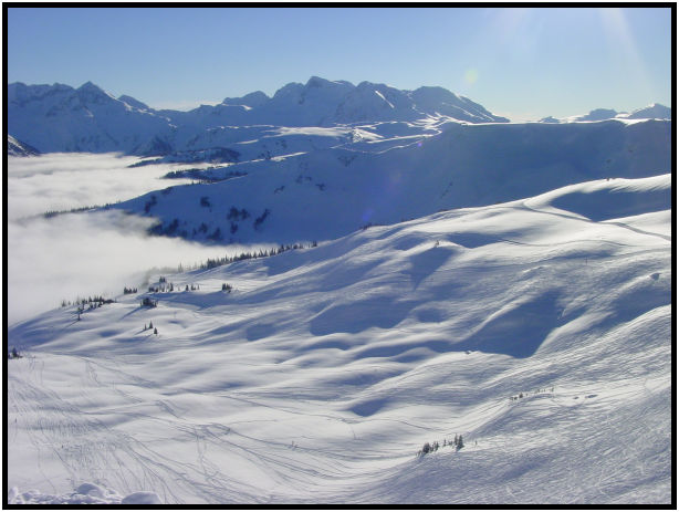 site: earth: snow : s-dsc028865.jpg