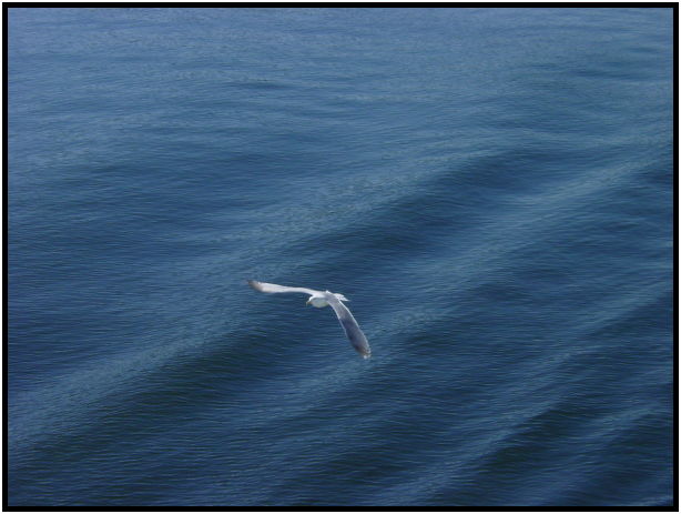 site: water: ocean : s-dsc029853.jpg