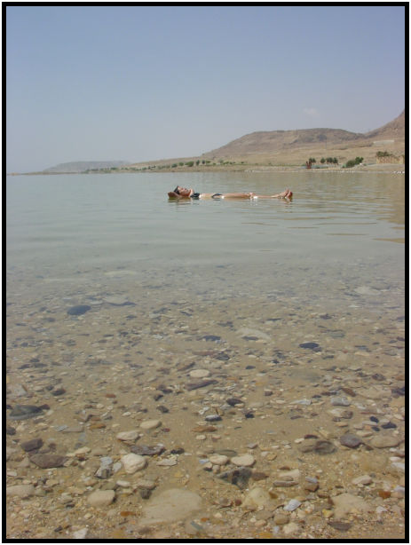 site: water: sea : s-dsc020201.jpg
