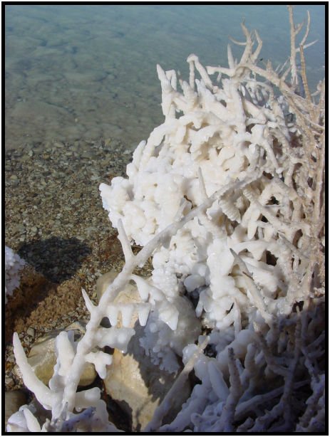 site: water: sea : s-dsc020227.jpg