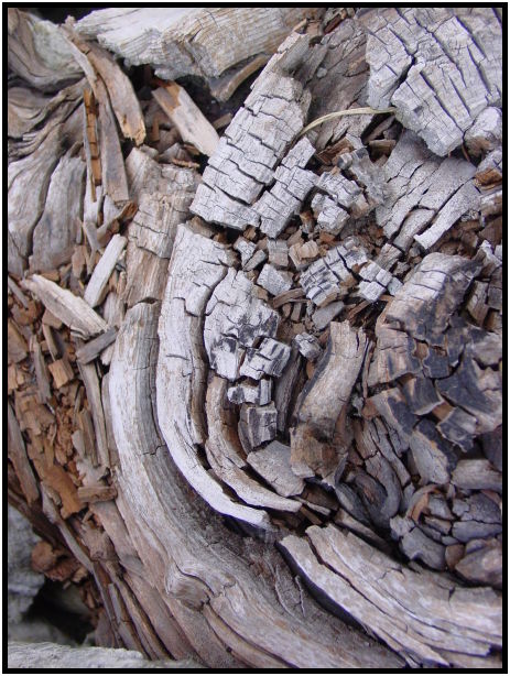 place: Canada: British Columbia: Elfin Lakes : s-dsc024141.jpg