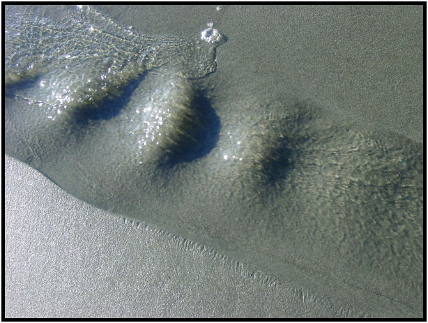 site: water: beach : s-dsc024474.jpg
