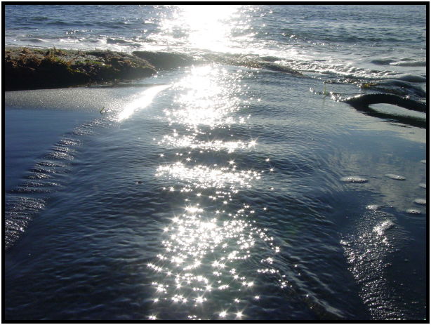 site: earth: sand : s-dsc024477.jpg