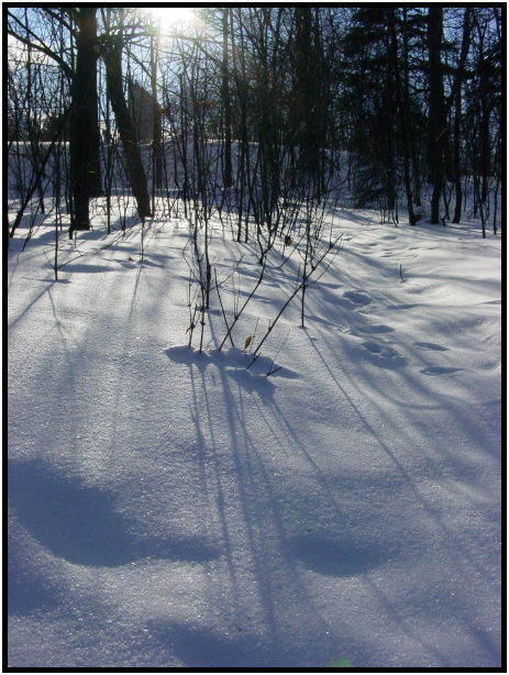 site: earth: snow : s-dsc021159.jpg