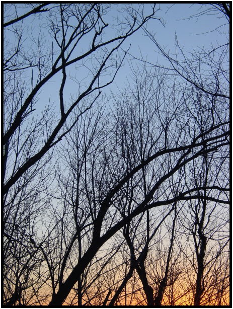 daycycle: sunset : s-dsc021196.jpg