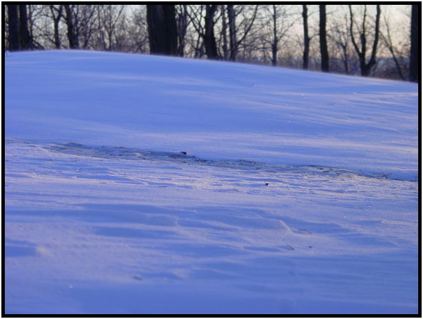 site: earth: snow : s-dsc021278.jpg