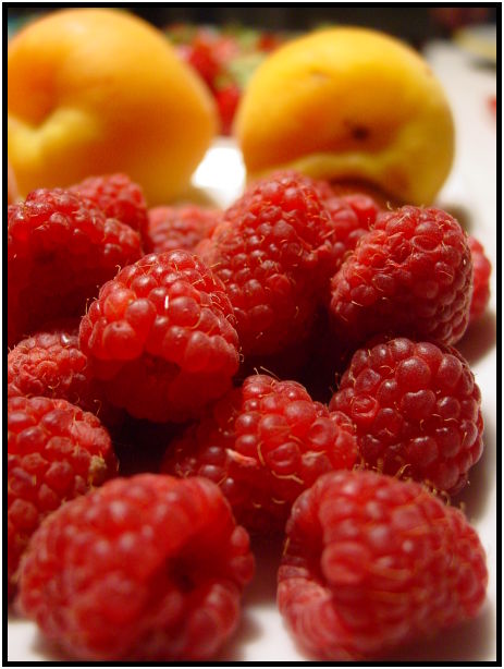 flora: berry: malberry : s-dsc023511.jpg