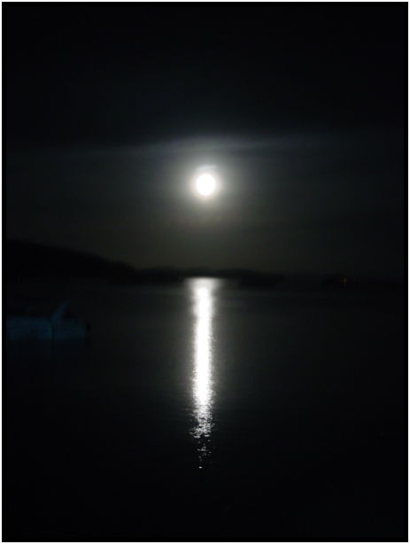 site: water: ocean : s-dsc022795.jpg
