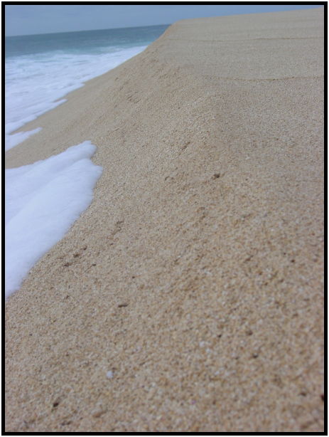 site: water: beach : s-dsc022432.jpg