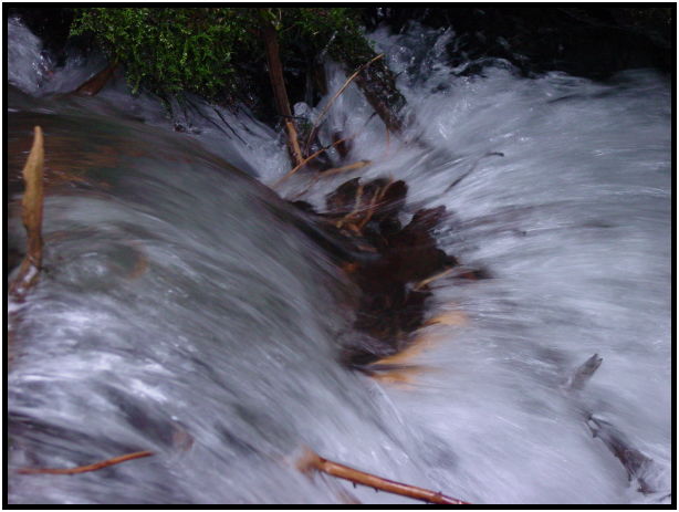 site: water: stream : s-dsc025523.jpg
