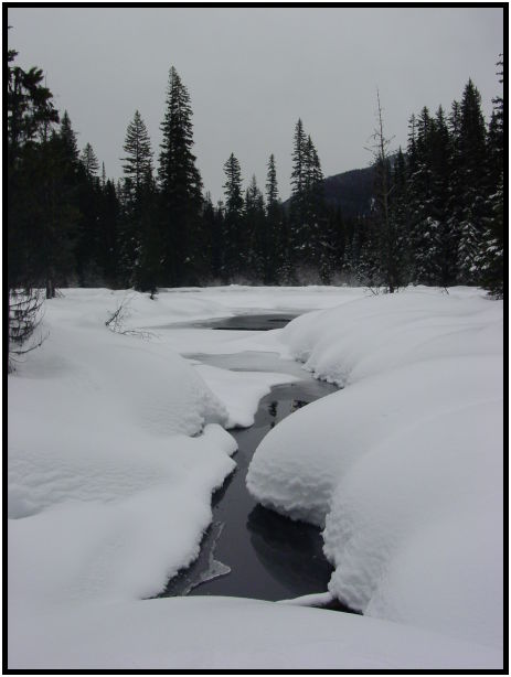 site: water: stream : s-dsc024822.jpg