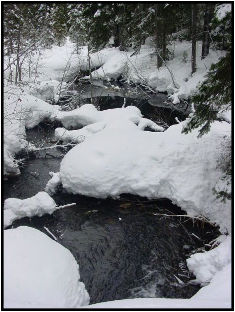 site: water: stream : s-dsc024824.jpg