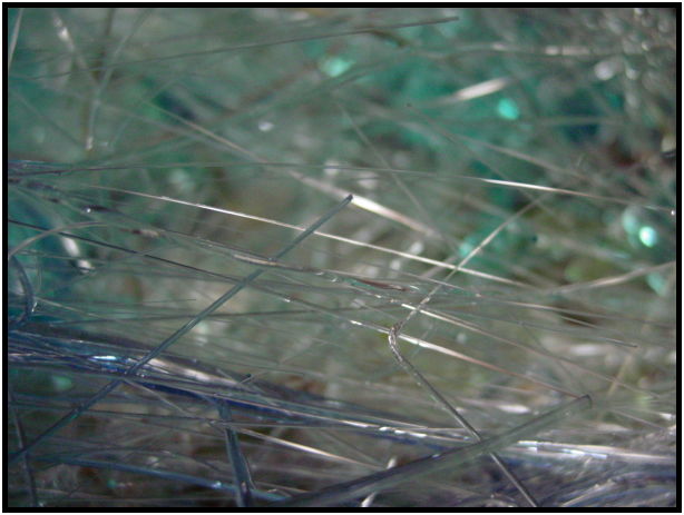object: glass : s-dsc025290.jpg
