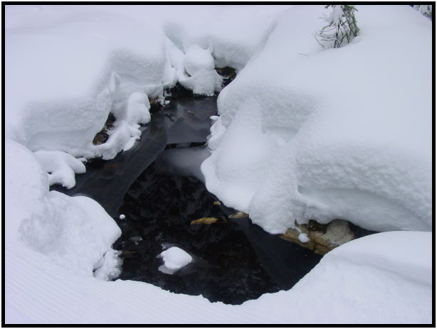 site: earth: snow : s-dsc024599.jpg