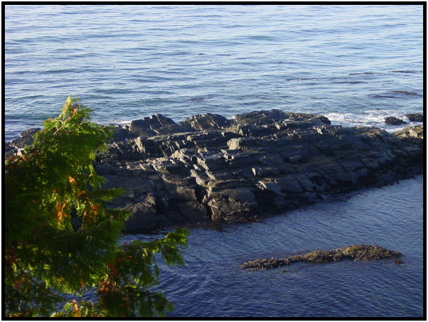 place: Canada: British Columbia: Vancouver Island: Juan de Fuca Marine Trail : s-dsc07080.jpg