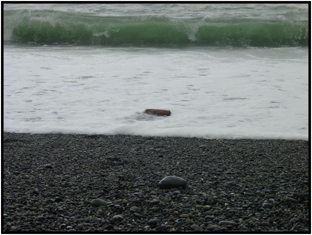 place: Canada: British Columbia: Vancouver Island: Tofino : s-dsc025223.jpg