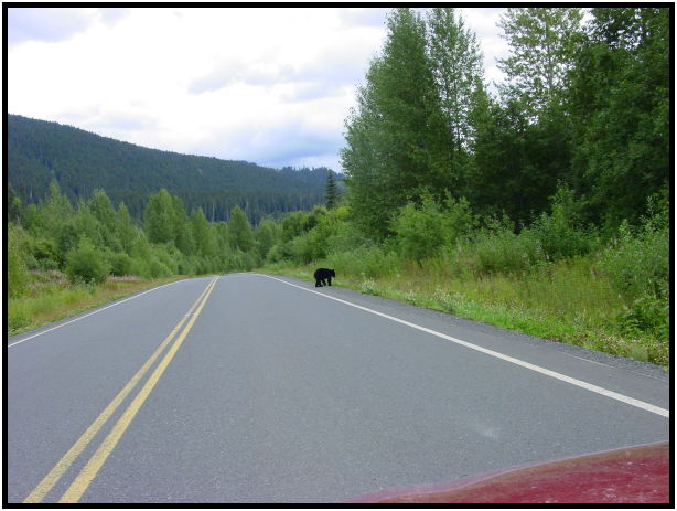 site: landscape: road : s-dsc026773.jpg