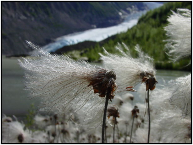 site: earth: glacier : s-dsc026892.jpg