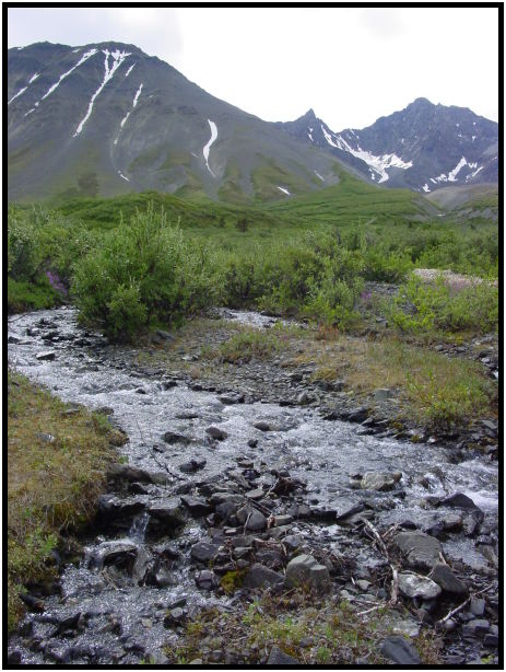 place: Canada: Yukon: Kluane National Park : s-dsc026292.jpg