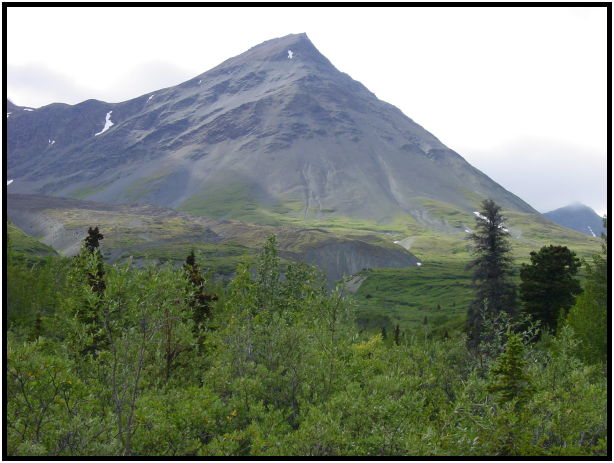 place: Canada: Yukon: Kluane National Park : s-dsc026299.jpg