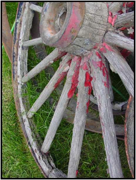 transportation: wheel : s-dsc026102.jpg