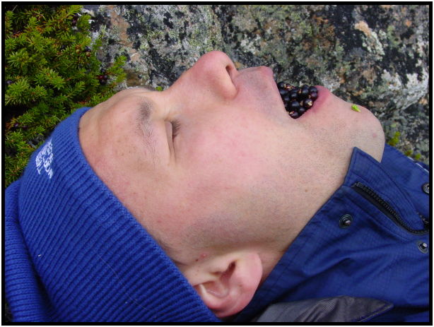 flora: berry: crowberry : s-dsc026236.jpg