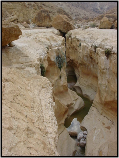 site: water: stream : s-dsc027756.jpg