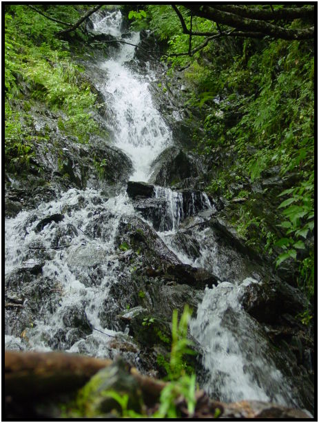 site: landscape: rock : s-dsc026328.jpg