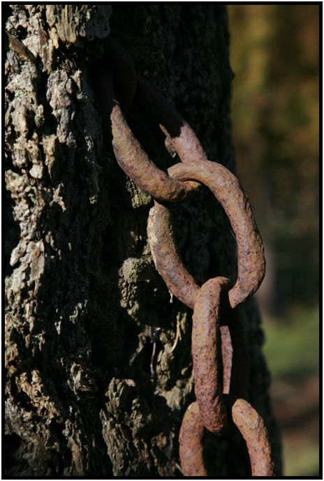 site: man made: chain : s-IMG_1416.jpg